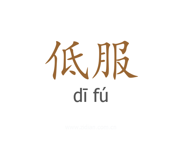 低服
