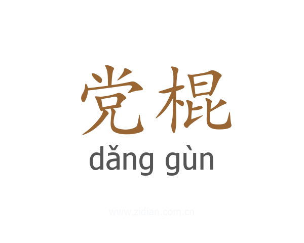 党棍