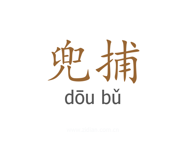 兜捕