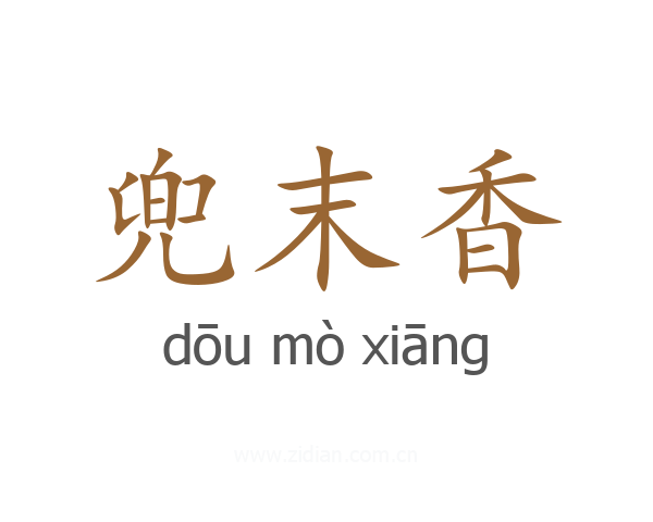 兜末香
