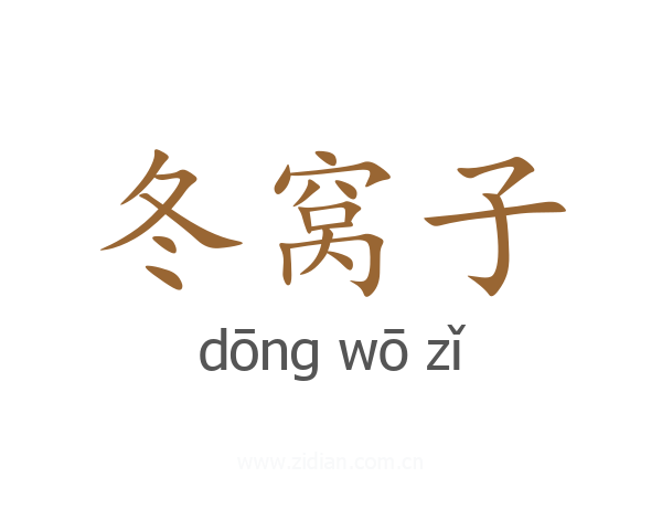 冬窝子