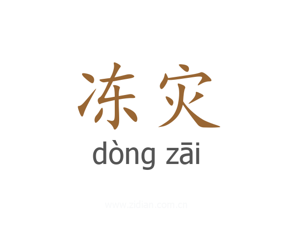 冻灾