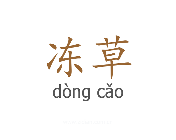 冻草