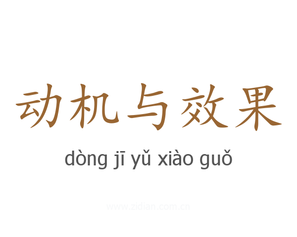 动机与效果