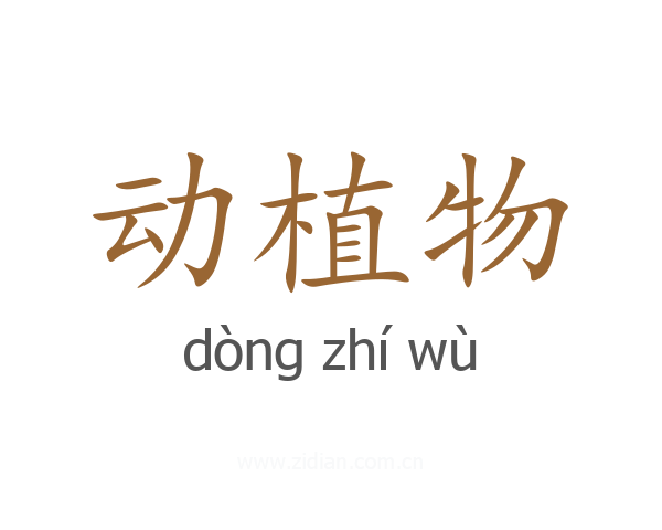 动植物