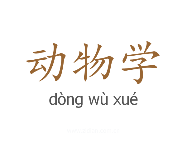动物学