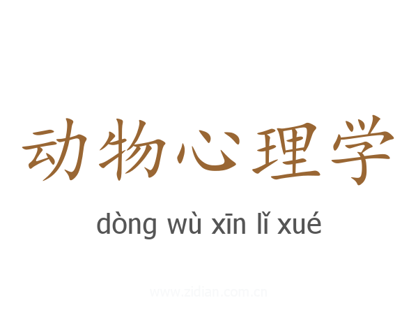 动物心理学