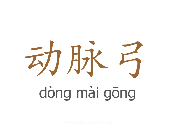 动脉弓