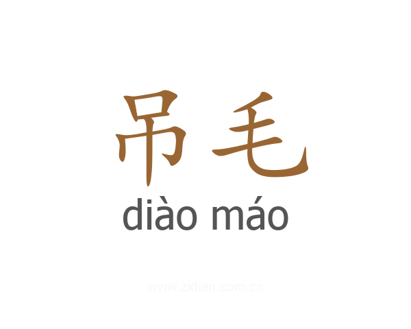 吊毛