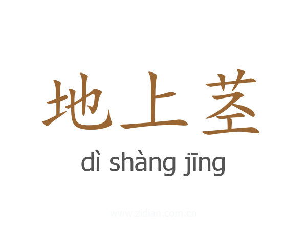 地上茎