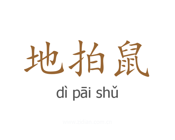 地拍鼠
