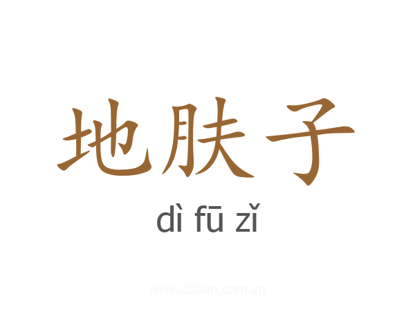 地肤子