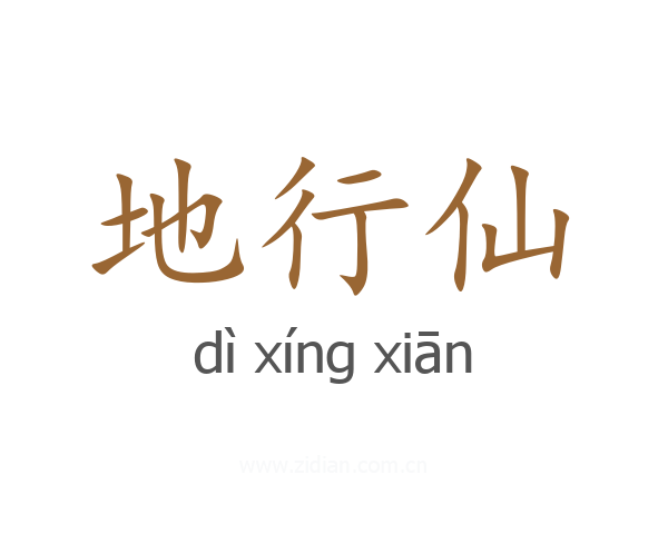 地行仙