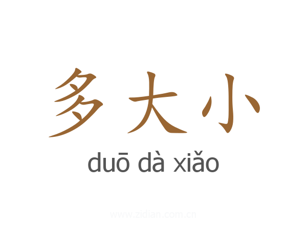 多大小