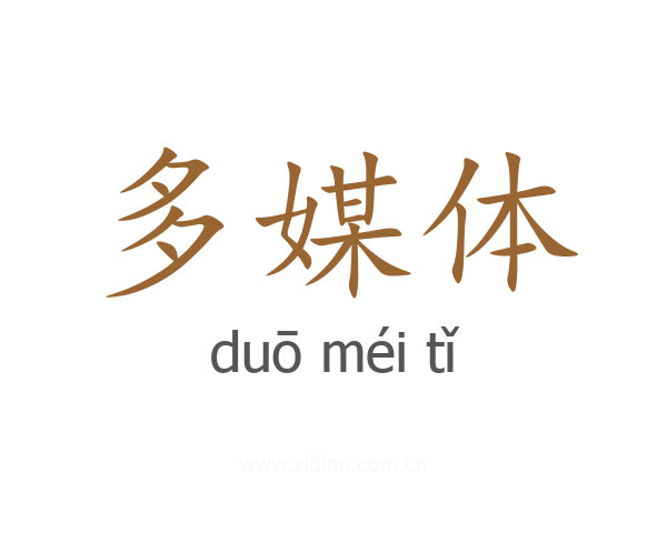 多媒体
