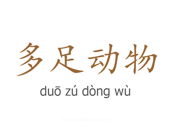 多足动物