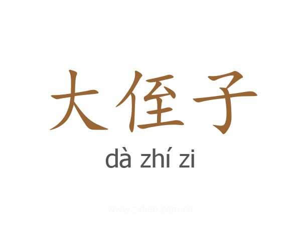 大侄子