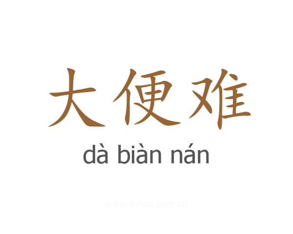 大便难