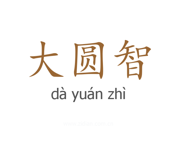 大圆智