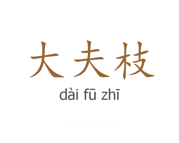 大夫枝