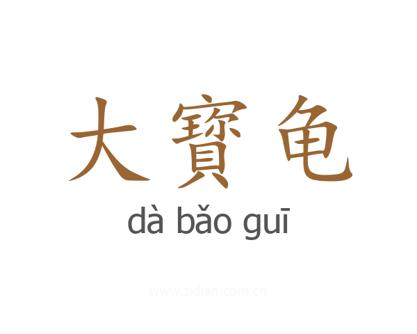 大寳龟