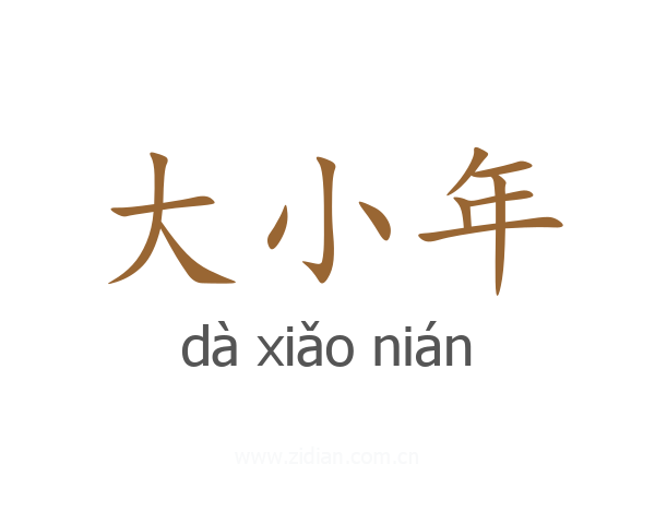大小年