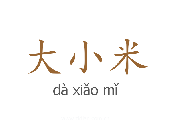 大小米