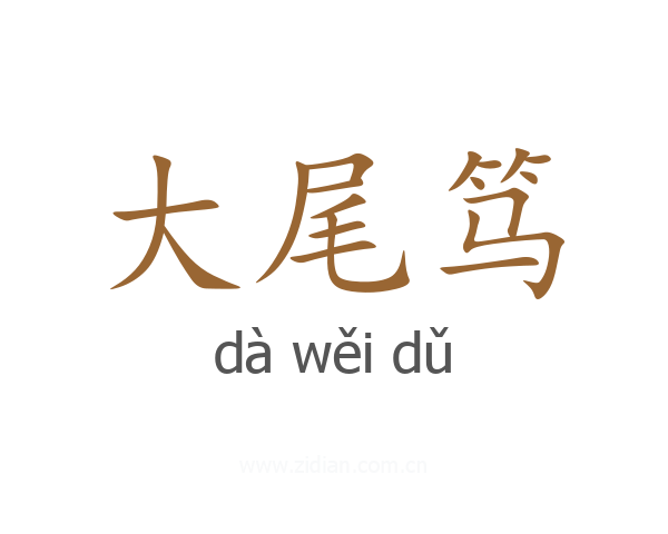 大尾笃