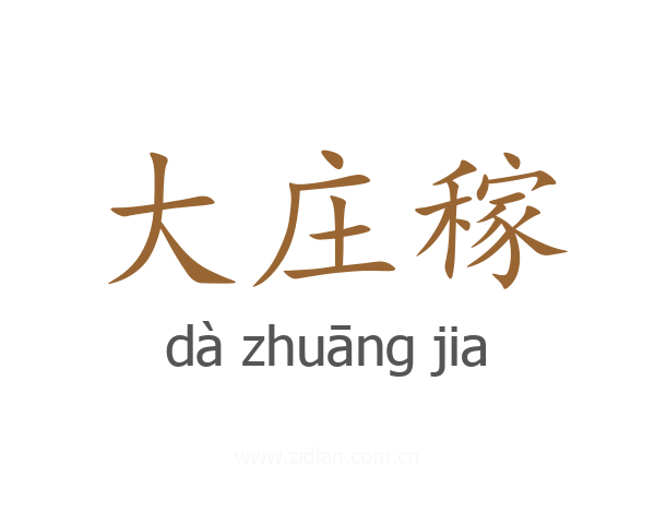 大庄稼