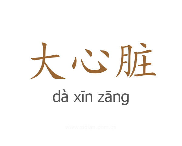 大心脏