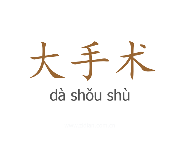 大手术