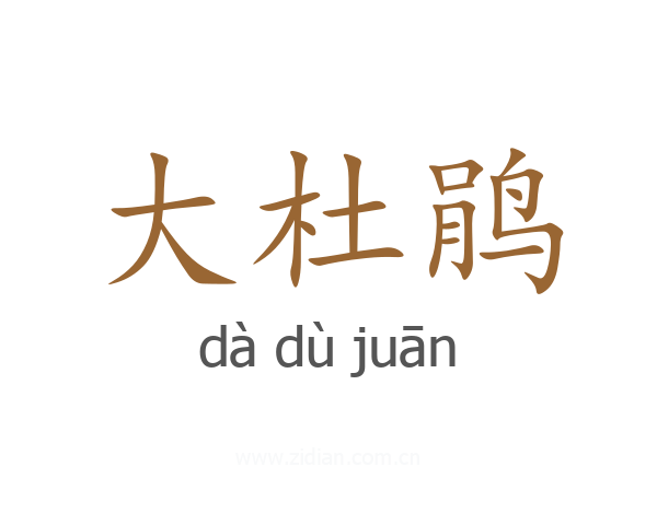 大杜鹃