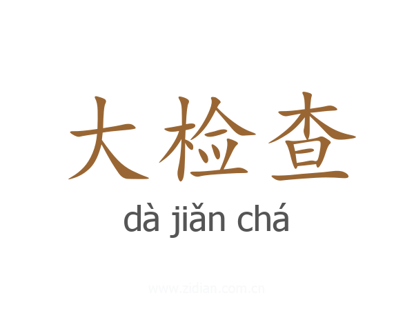大检查