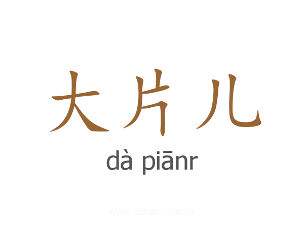 大片儿