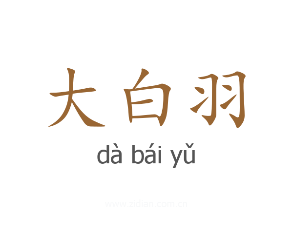 大白羽