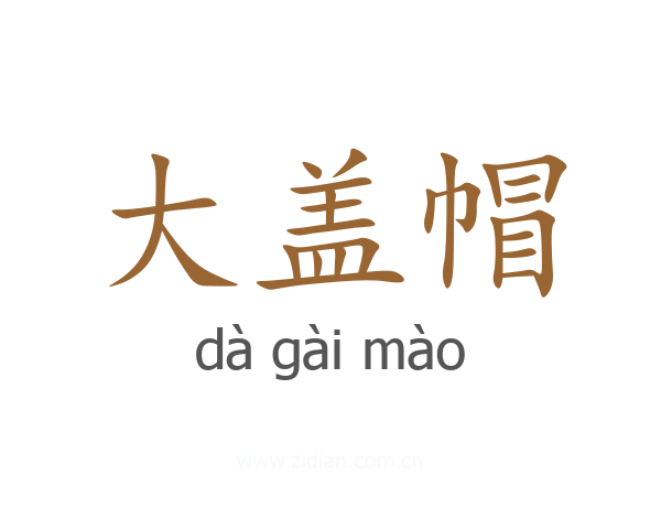大盖帽