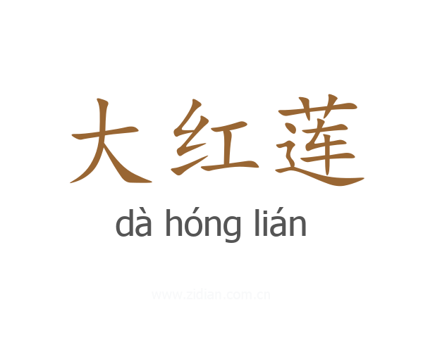 大红莲
