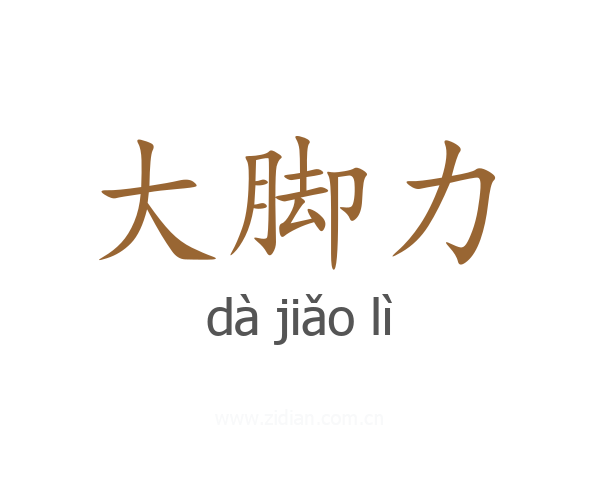 大脚力