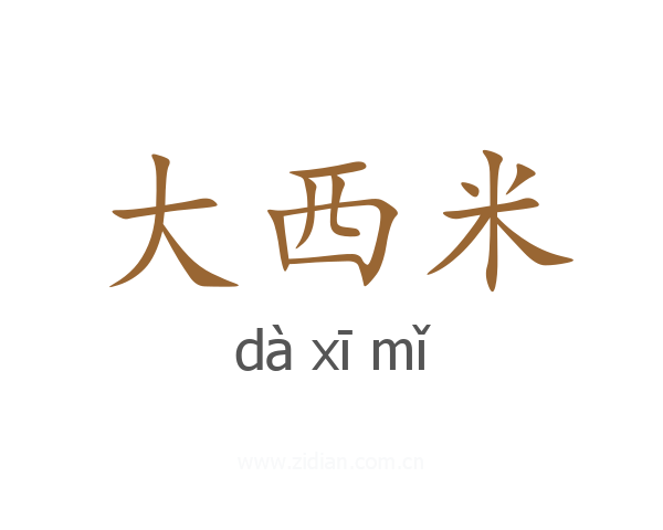 大西米