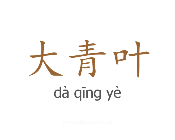 大青叶