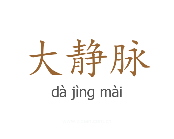 大静脉