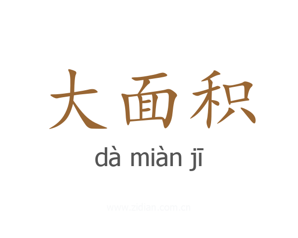 大面积