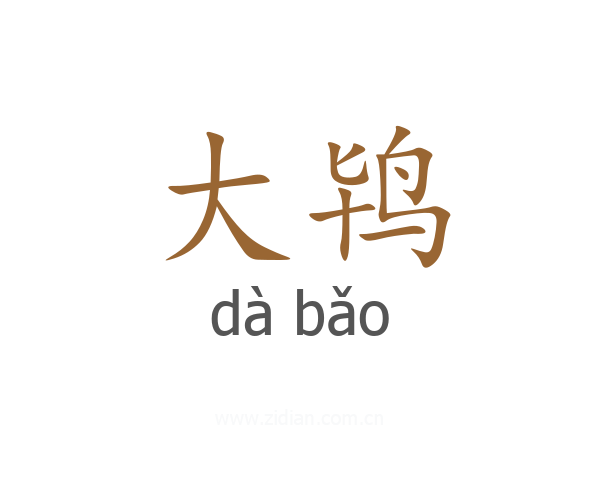 大鸨