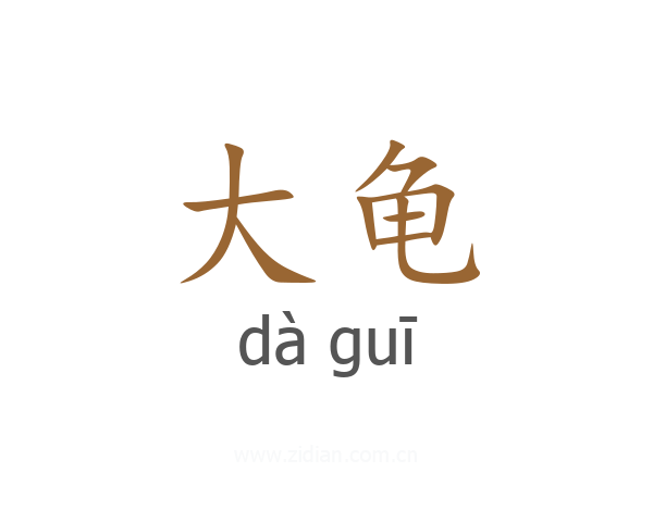 大龟