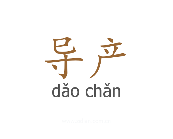 导产