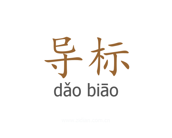 导标