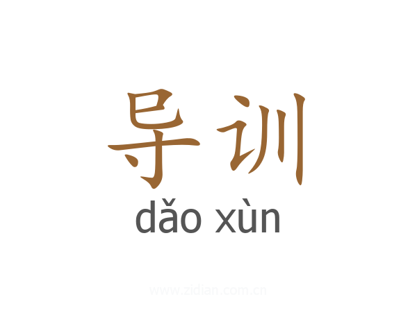 导训