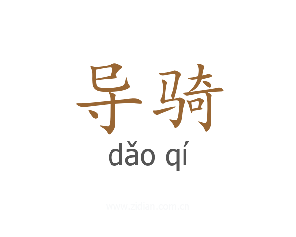 导骑
