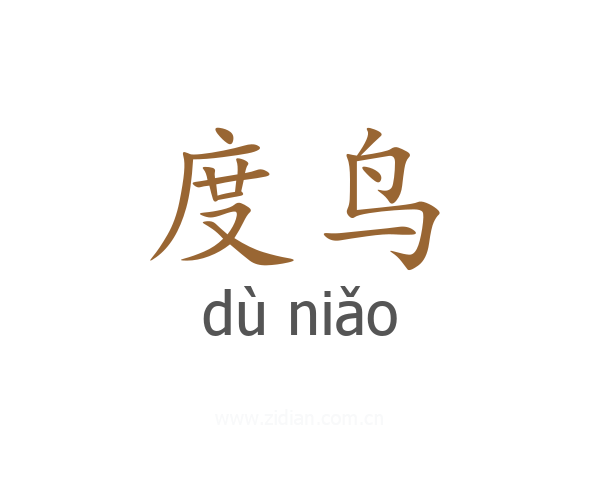 度鸟