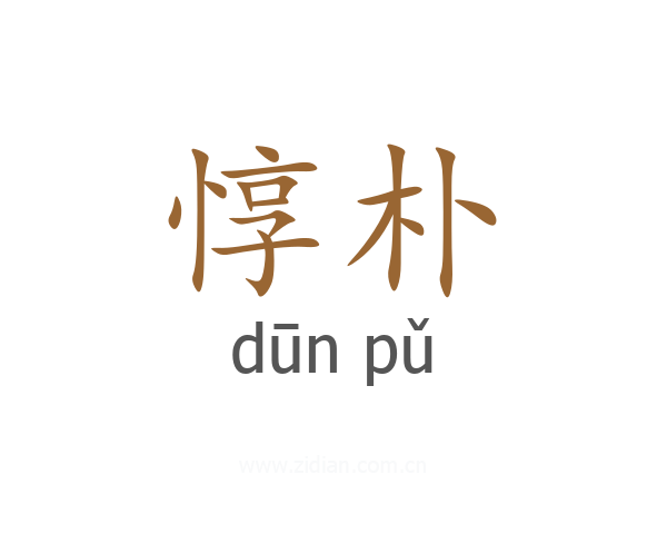 惇朴